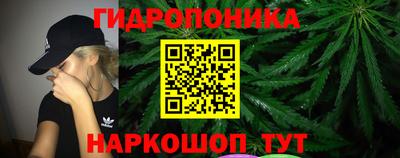 прущие грибы Кулебаки