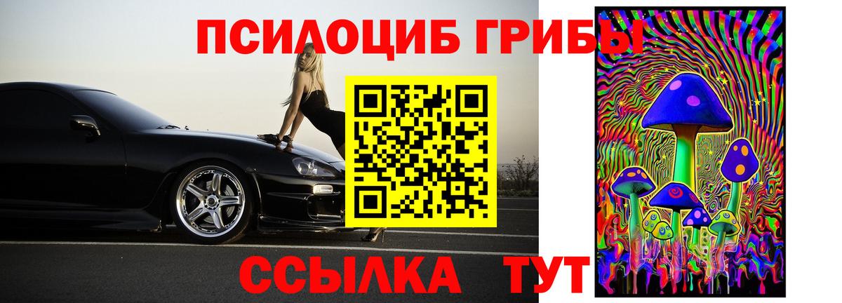 Гудермес  Галлюциногенные грибы прущие грибы  Псилоцибиновые грибы прущие грибы  Вход с VPN 